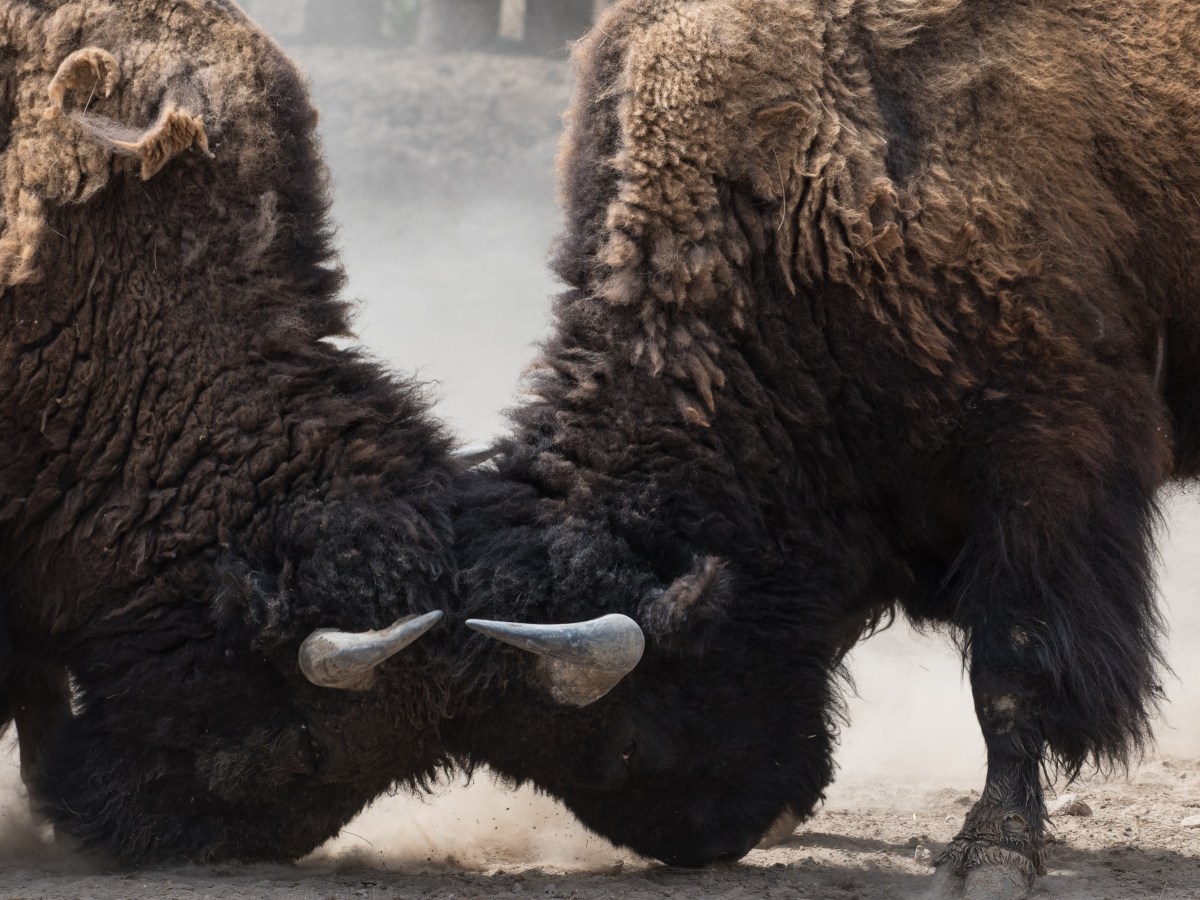 Outraging the Spirit of&nbsp;Grace