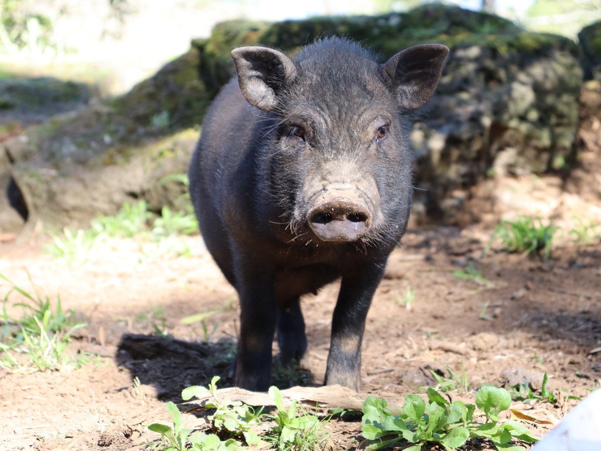 Called to be Holy, Sanctified and Set&nbsp;Apart