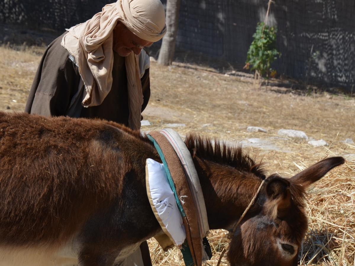 Walk in the Spirit: Keep the Commandments Like&nbsp;Paul