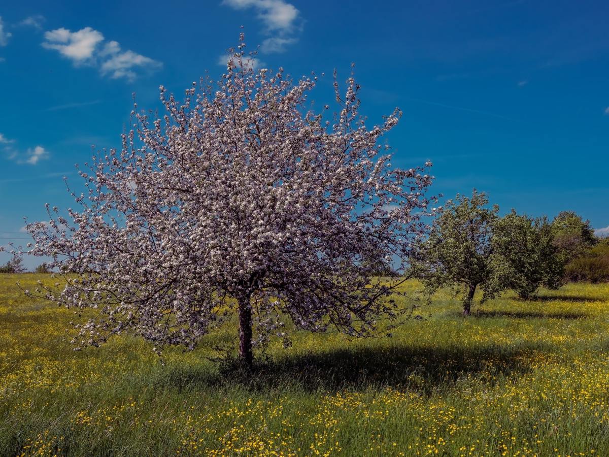 Who is Going to Mow Your Lawn When You’re&nbsp;Gone?