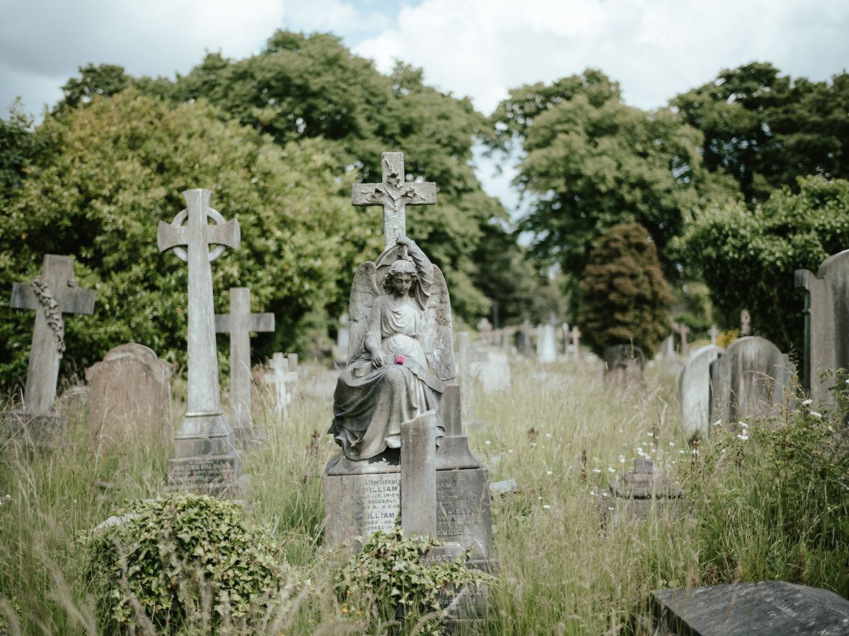 What do the Dead&nbsp;know?