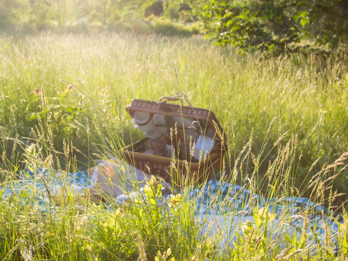 Is this Really the&nbsp;End?