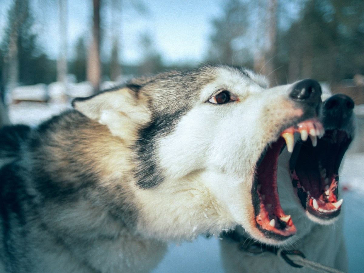 Prophecy Fulfilled; And It’s Not&nbsp;Good